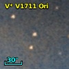 V* V1711 Ori