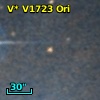V* V1723 Ori