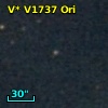 V* V1737 Ori