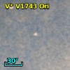 V* V1743 Ori