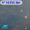 V* V1755 Ori