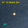 2MASS J05361975-0444551