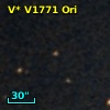 V* V1771 Ori