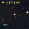 V* V1773 Ori
