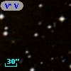 V* V1656 Ori