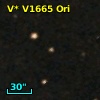 V* V1665 Ori