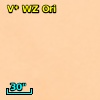 V* WZ Ori