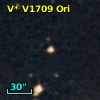 V* V1709 Ori