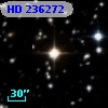 HD 236272