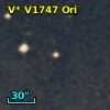 V* V1747 Ori