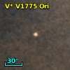 V* V1775 Ori
