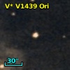 V* V1439 Ori