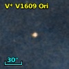 V* V1609 Ori