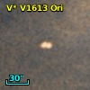 V* V1613 Ori