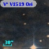V* V1519 Ori