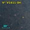 V* V1611 Ori