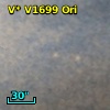 V* V1699 Ori