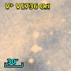 V* V1736 Ori