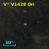 V* V1428 Ori