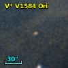 V* V1584 Ori