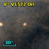 V* V1572 Ori