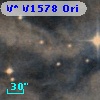 V* V1578 Ori