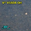 V* V1604 Ori
