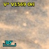 V* V1569 Ori