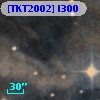 [TKT2002] I300