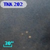 TKK   202