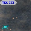 TKK   223