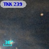 TKK   239