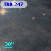 TKK   247