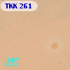 TKK   261