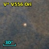 V* V556 Ori
