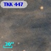 TKK   447