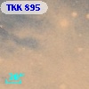 TKK   895