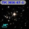 TYC 3656-67-1