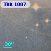 TKK  1007