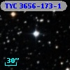 TYC 3656-173-1