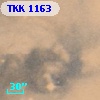 TKK  1163