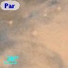 Parenago  2174