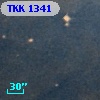 TKK  1341