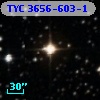 TYC 3656-603-1