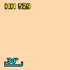 HH 529