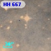 HH 667