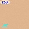 COUP J053513.3-052051