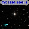 TYC 3656-1003-1