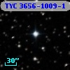 TYC 3656-1009-1