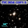TYC 3656-1163-1
